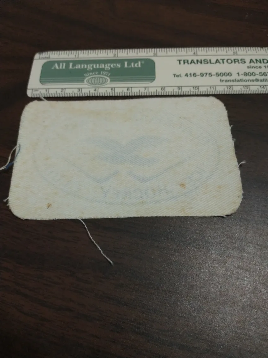 Rare 1990s Blackpool Seaagulls ice hockey patch image indicator(2)