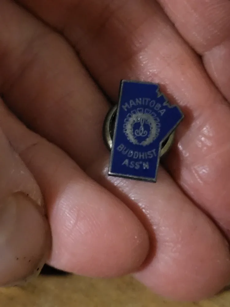 Vintage Manitoba & Town of Raymond Pin Lot of 7 pins. image indicator(2)