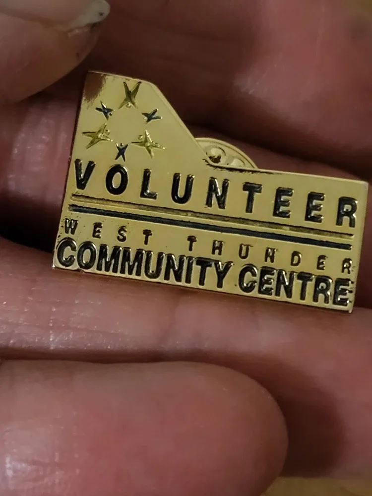 Vintage Manitoba & Town of Raymond Pin Lot of 7 pins. image indicator(3)