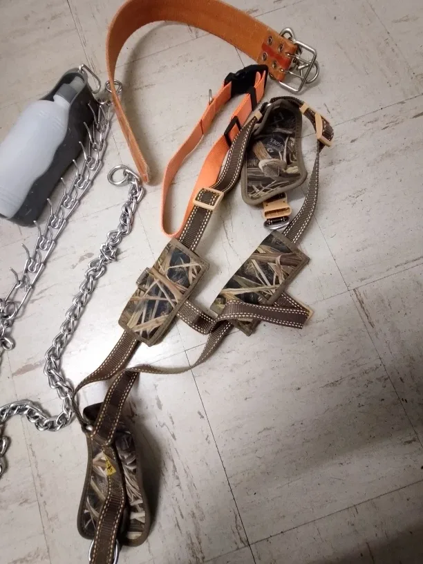 Dog Training Collar & Harness Set