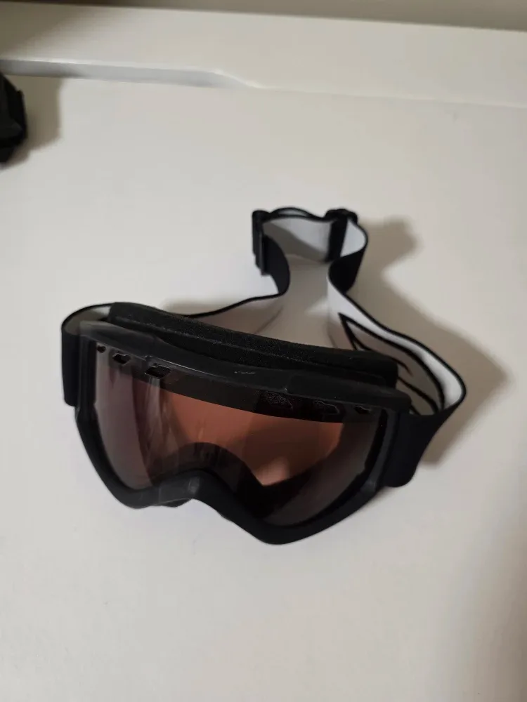 Smith Ski/Snowboard Goggles