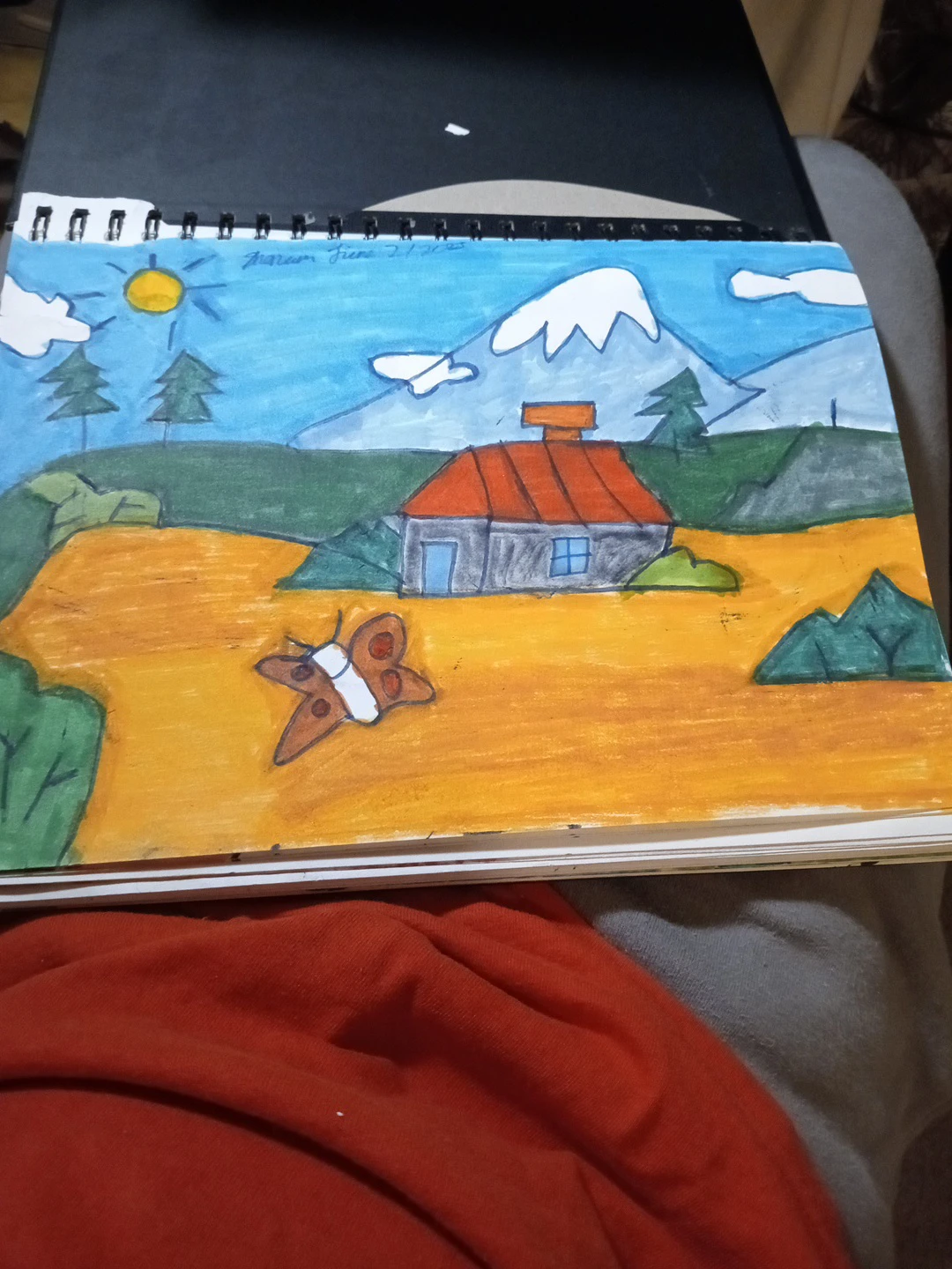 NATURE SCENERY DRAWINGS BY CUSTOM ARTIST SHERWIN - photo 4