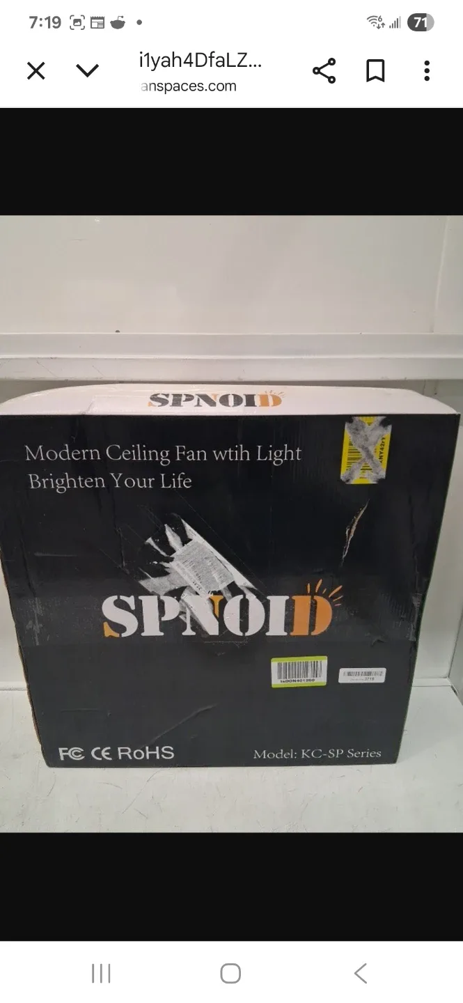 SPNOID Modern Ceiling Fan with Light, 20"