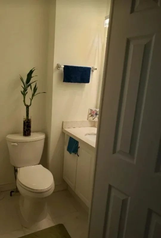 FEMALE : ROOM for Rent image indicator(4)