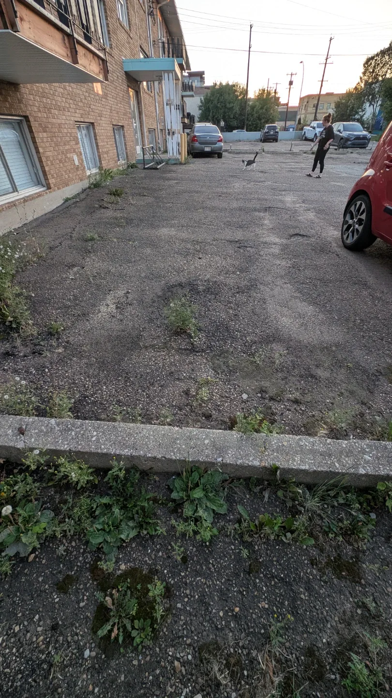 Parking Space for rent image indicator(2)