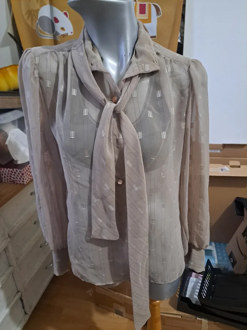 Sheer long sleeve shirt