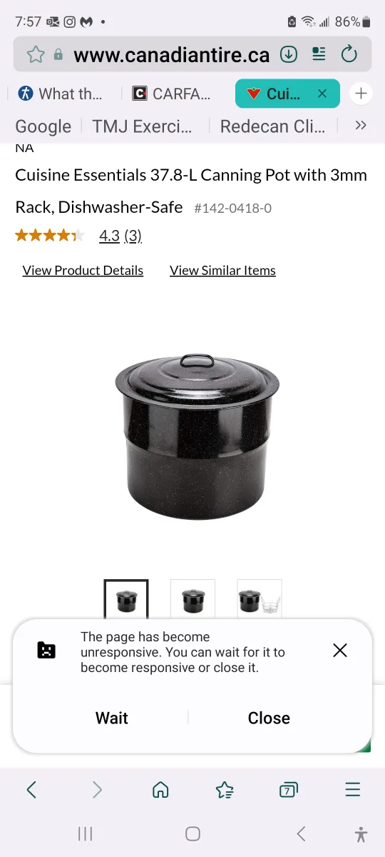 Cuisine Essentials 37.8-L Canning Pot