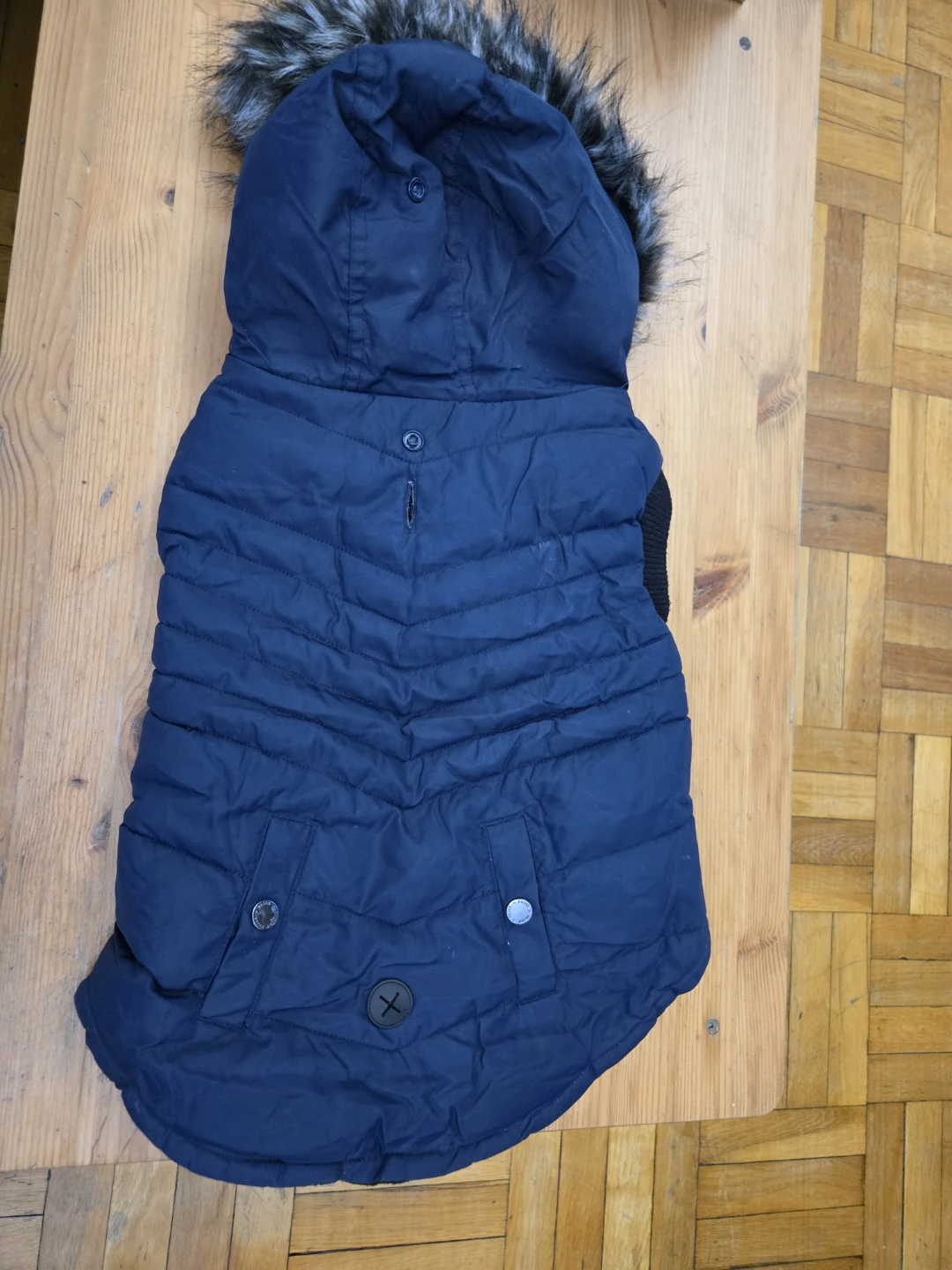Dog coat