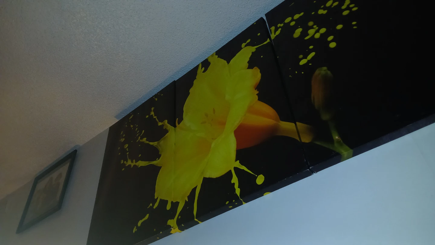 3  piece canvas