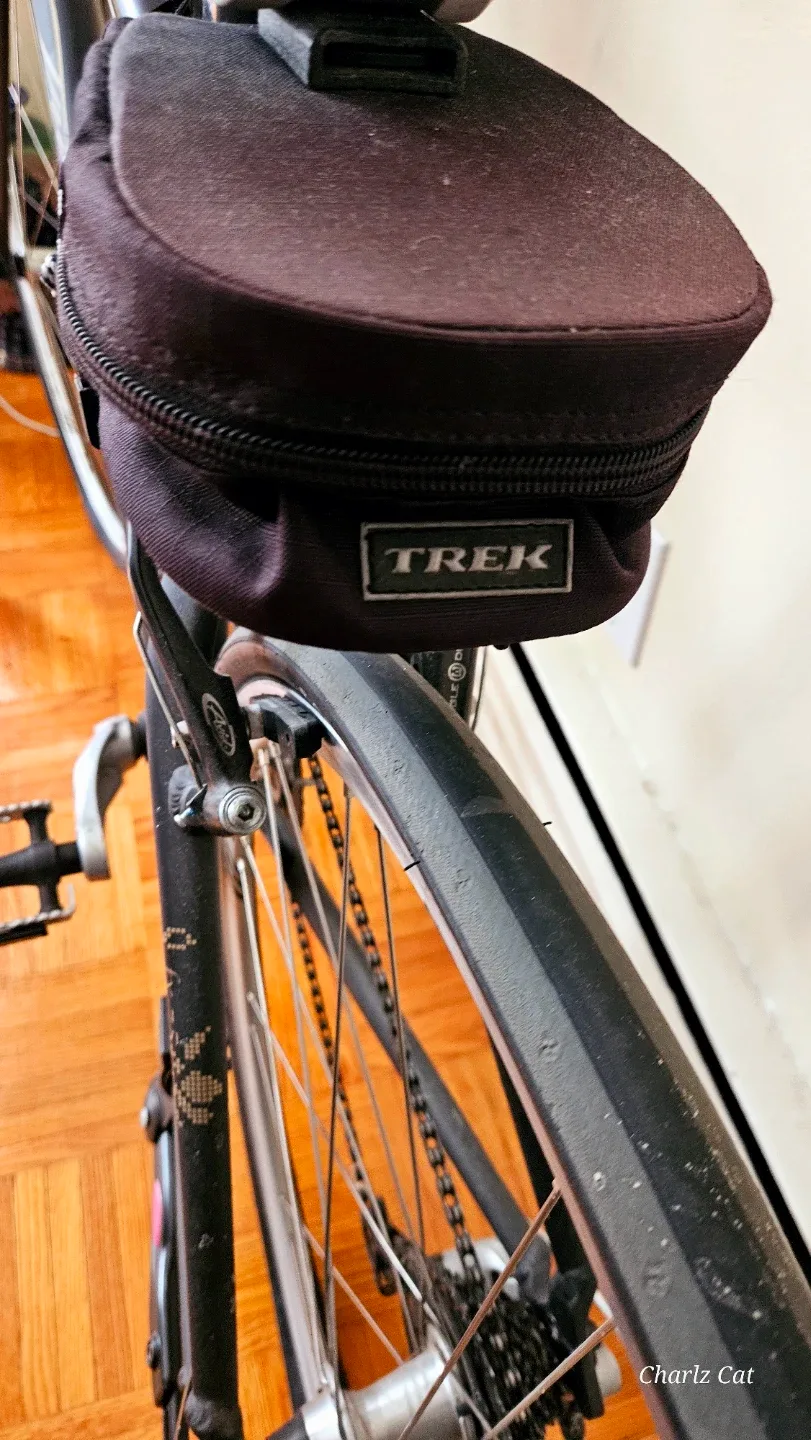 Trek WSD 19" Hybrid Bike image indicator(7)