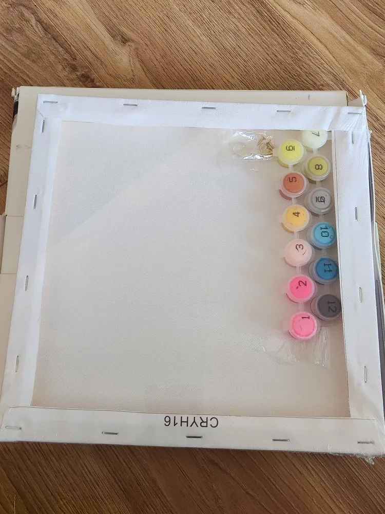 Paint By Numbers Framed Canvas Kit - New image indicator(4)