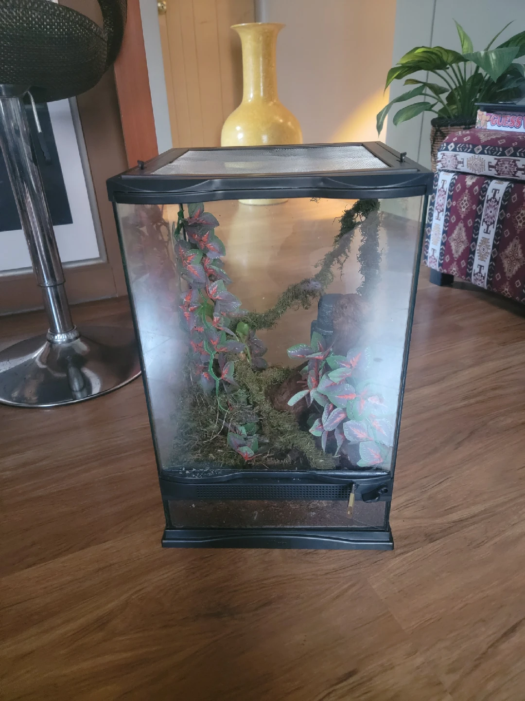 Terrarium with decor