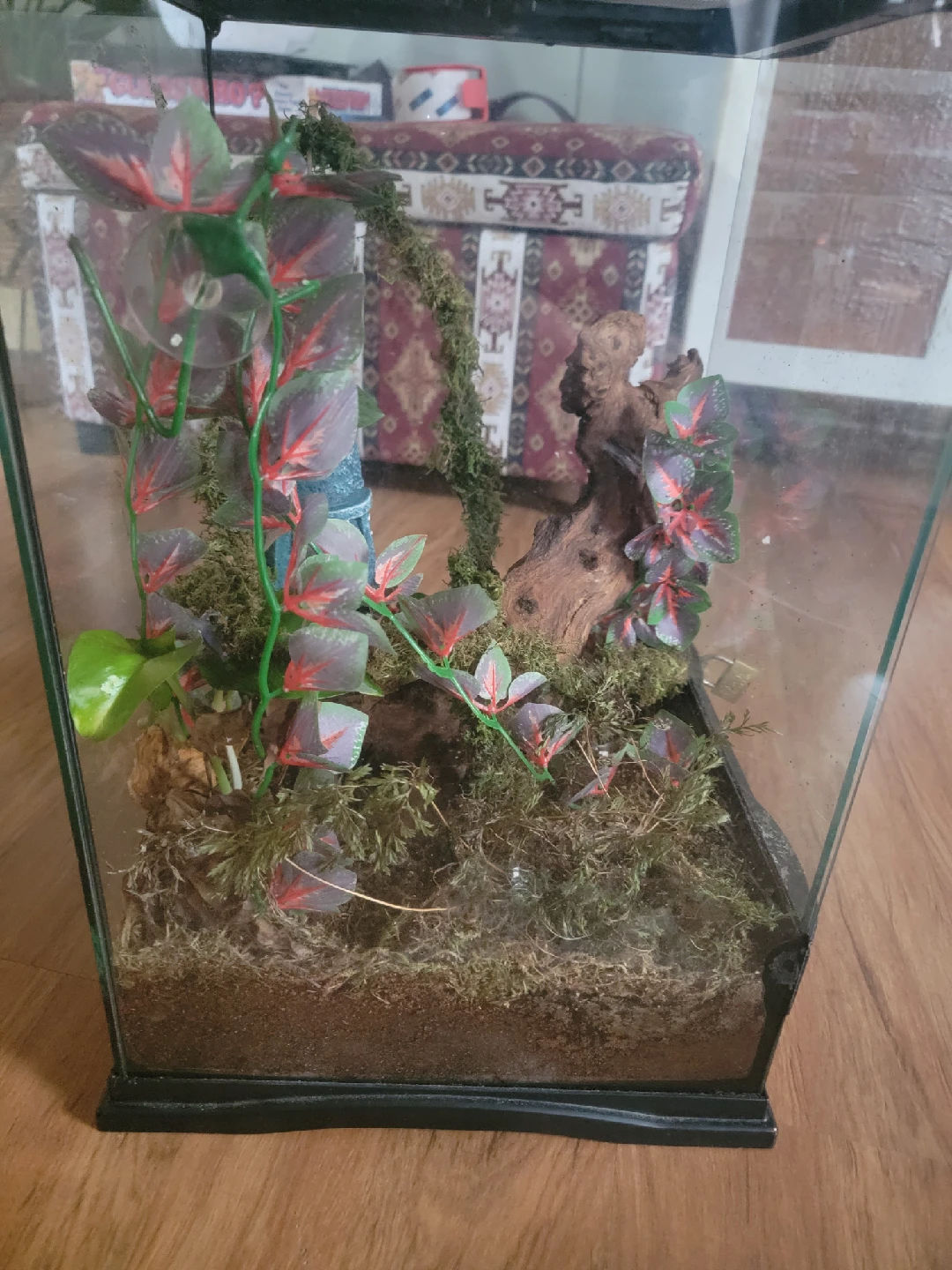 Terrarium with decor - photo 4