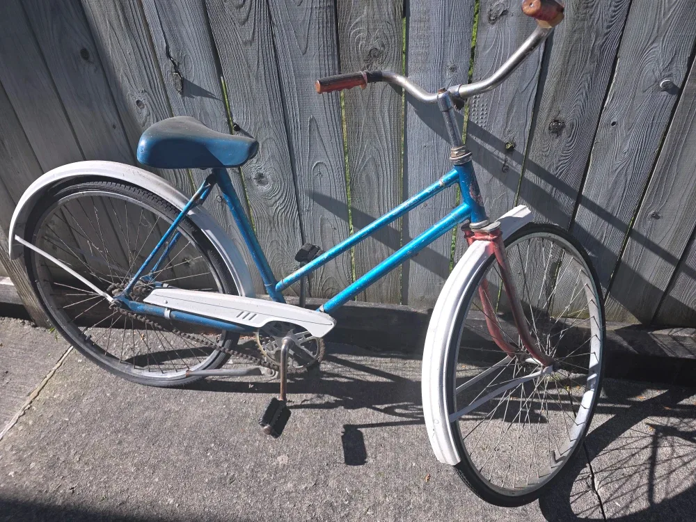 Vintage Blue Bicycle image indicator(4)