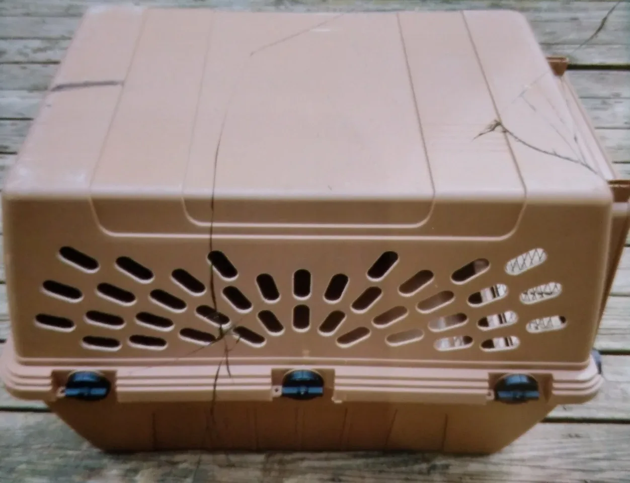 Petmate Deluxe Pet Porter + Bolster Dog Bed image indicator(3)