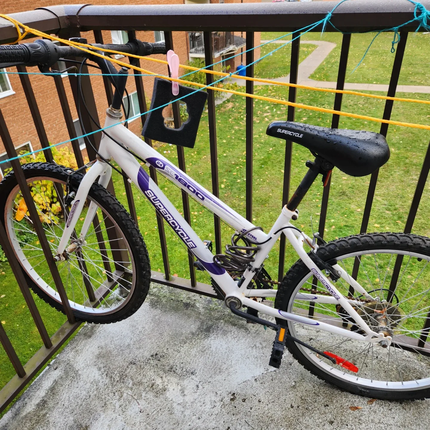 Moving Sale Supercycle CT1200 Bike image indicator(2)