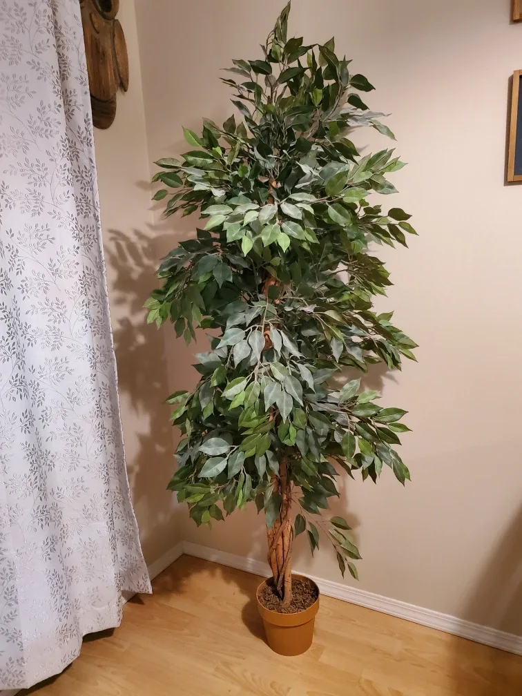 Artificial Ficus Tree in Pot
