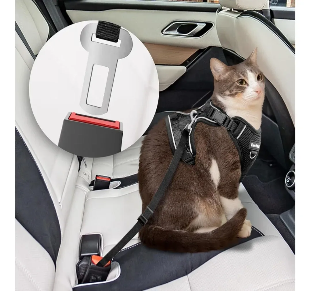 Bechtel Cat Harness with Leash & Car Seatbelt - Black, Size S image indicator(2)