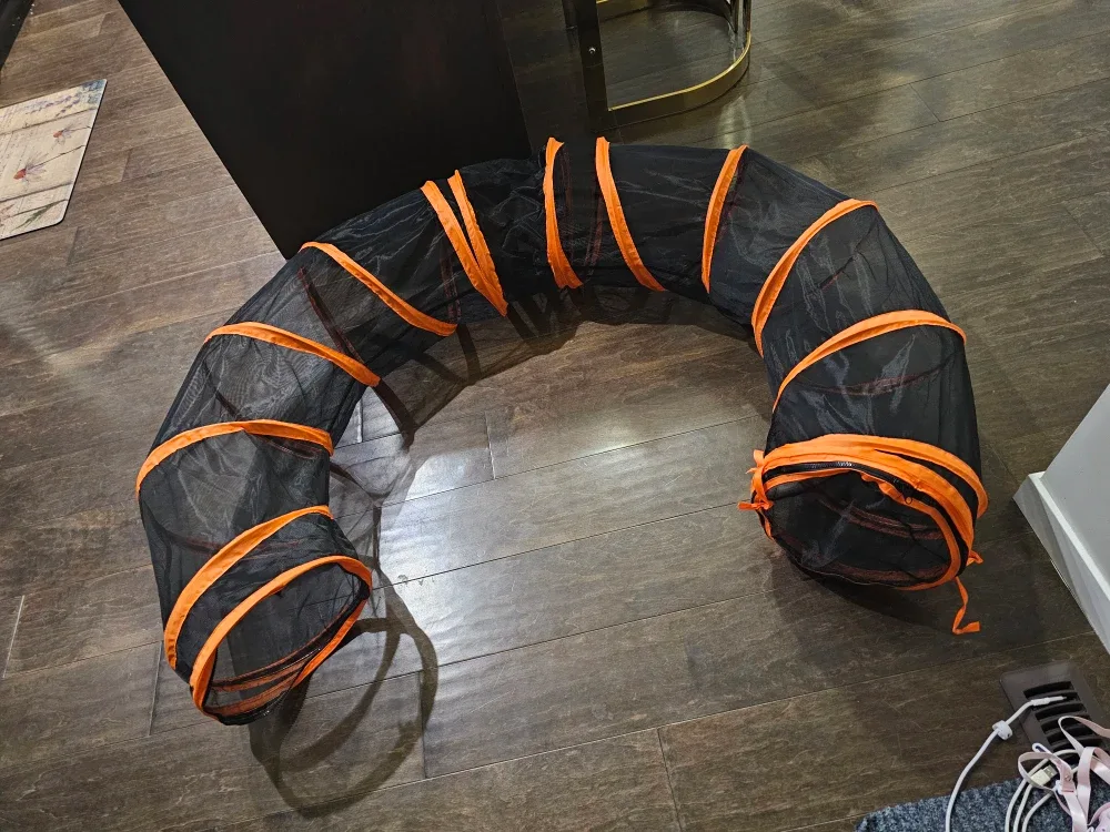 Cat Tunnel (New) image indicator(7)