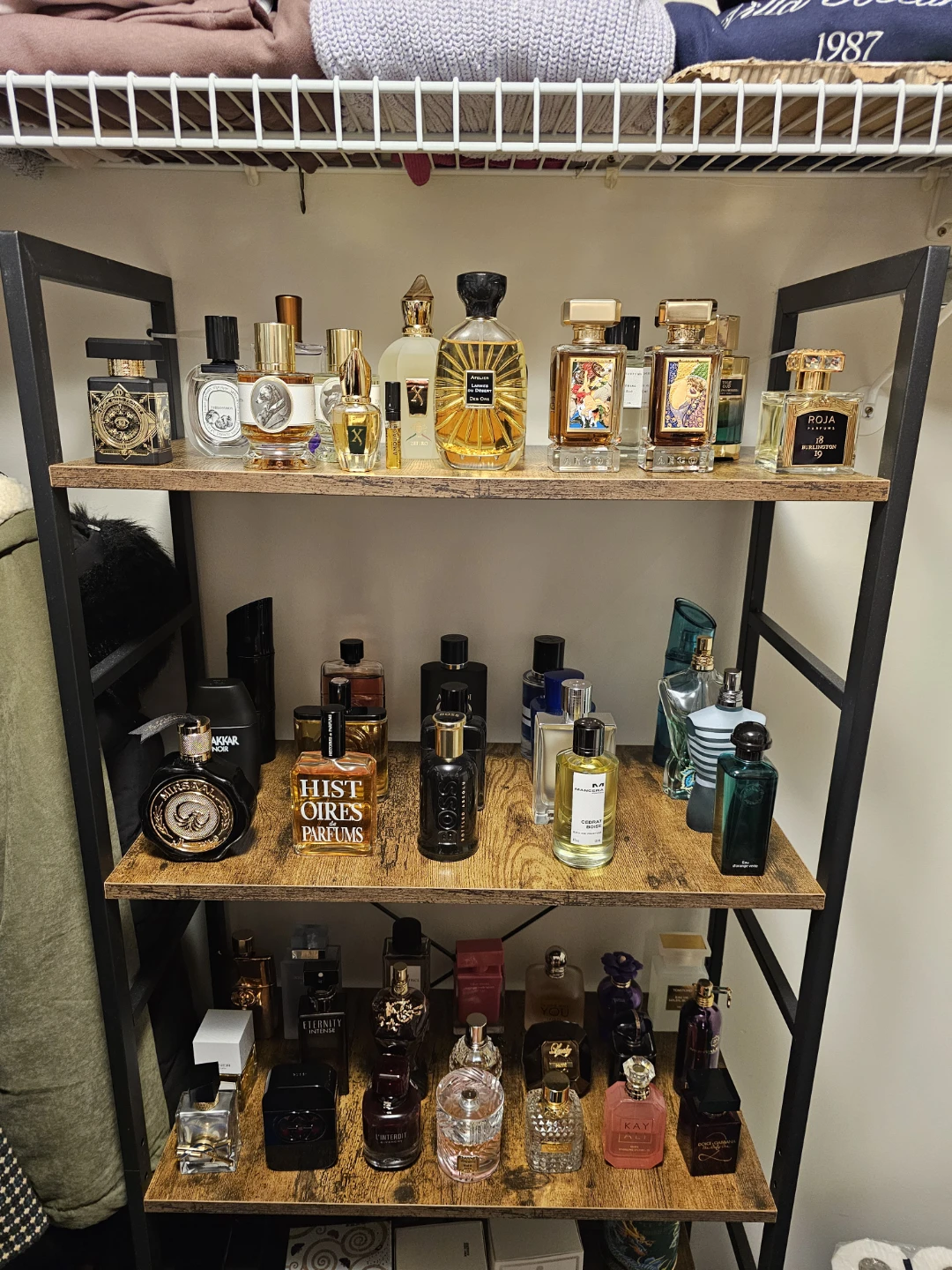 Assorted Perfume Collection