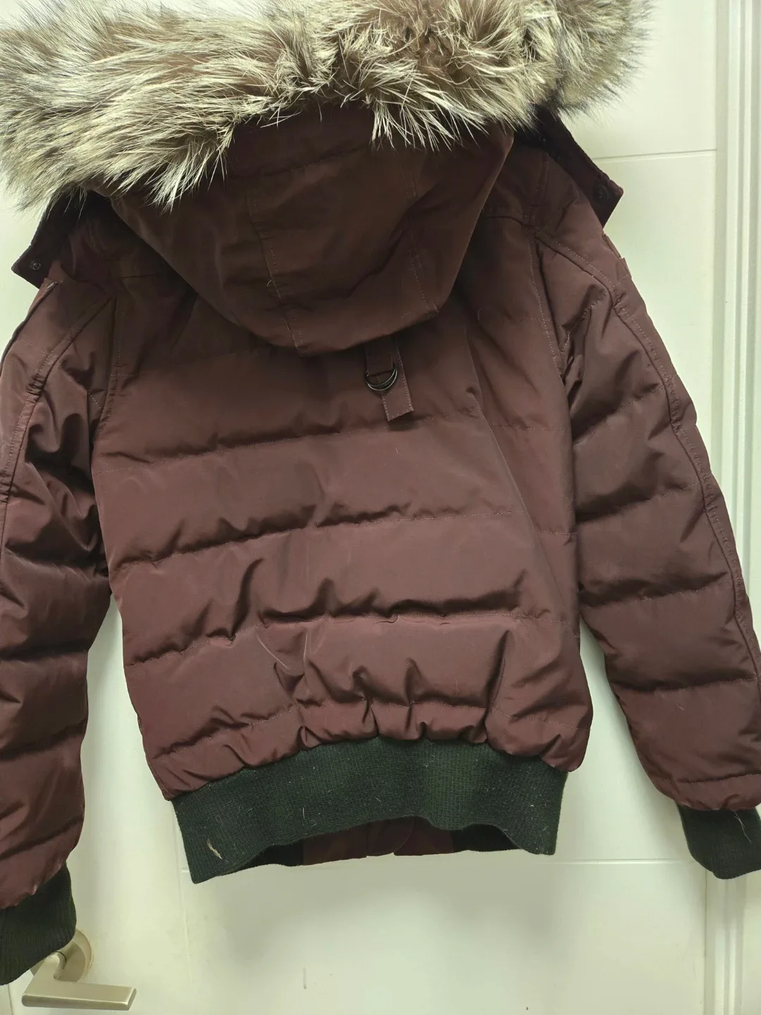 Moose Knuckles Down Bomber Jacket - Size S freshly dry cleaned image indicator(9)