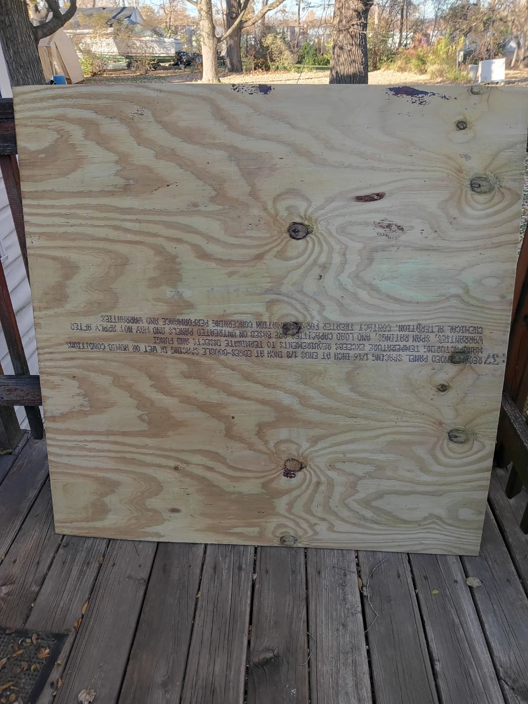 Plywood Panel