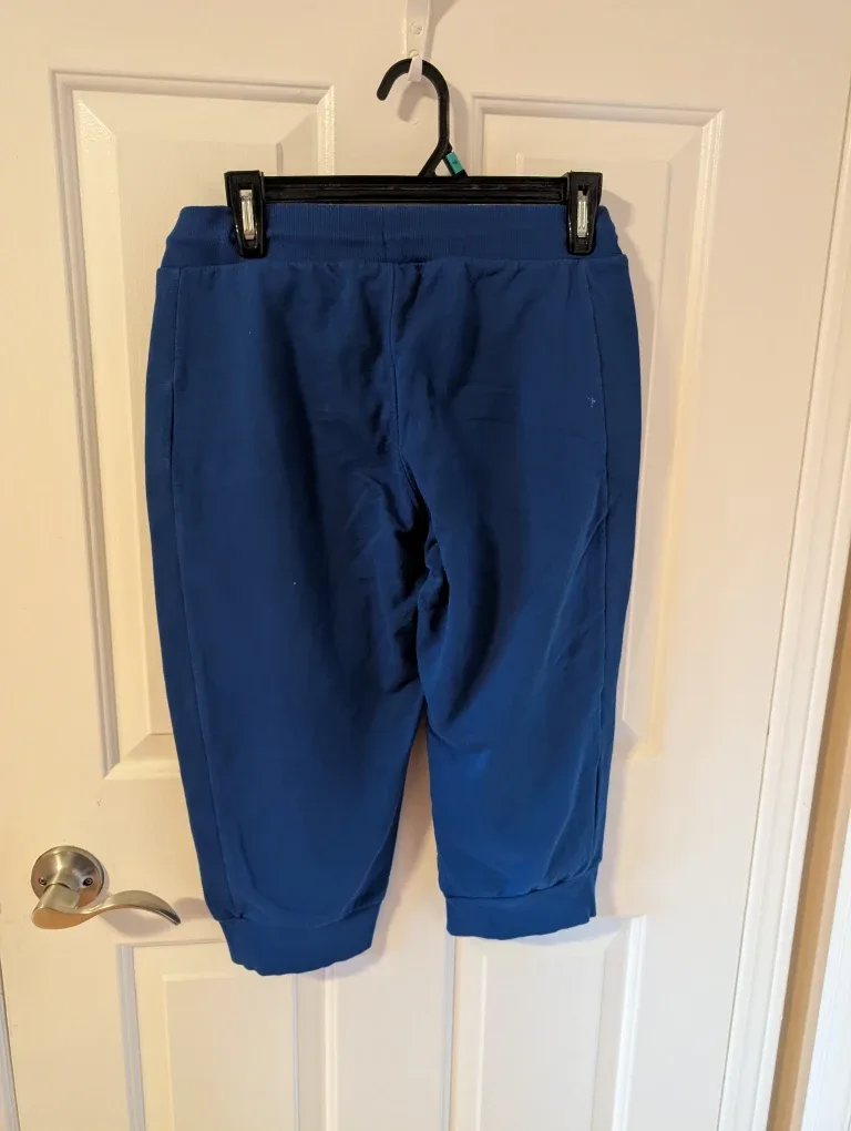 Adidas Neo Blue Capri Pants image indicator(2)