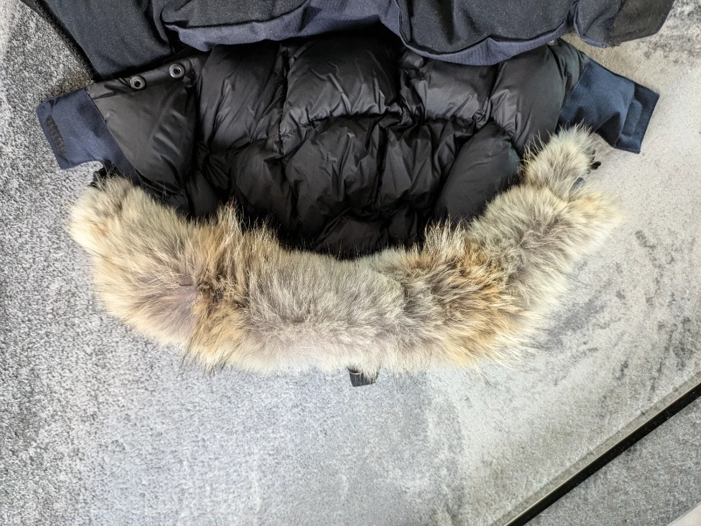 Nobis Cartel Bomber Jacket XL image indicator(7)