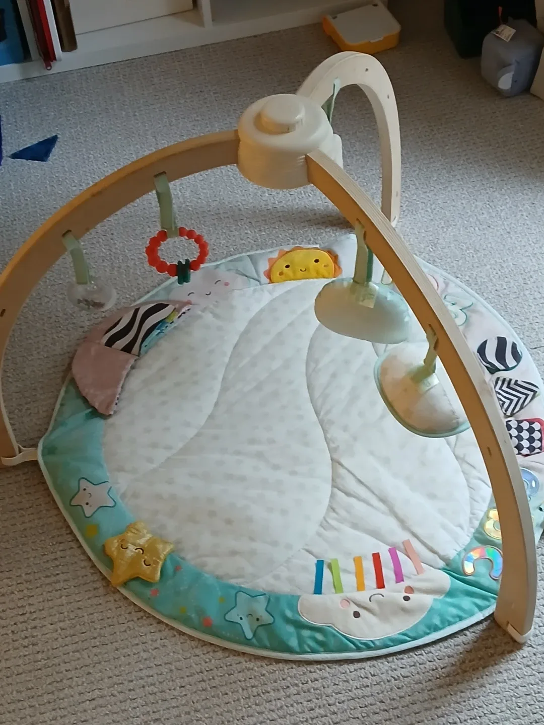Skip Hop Baby Activity Gym