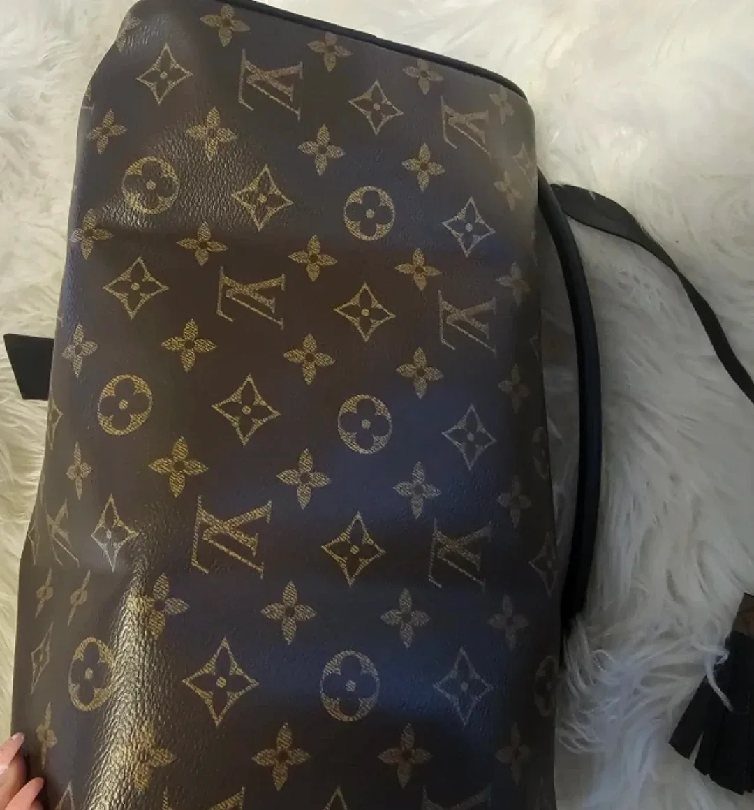 Louis Vuitton Speedy Bandouliere 25 image indicator(4)