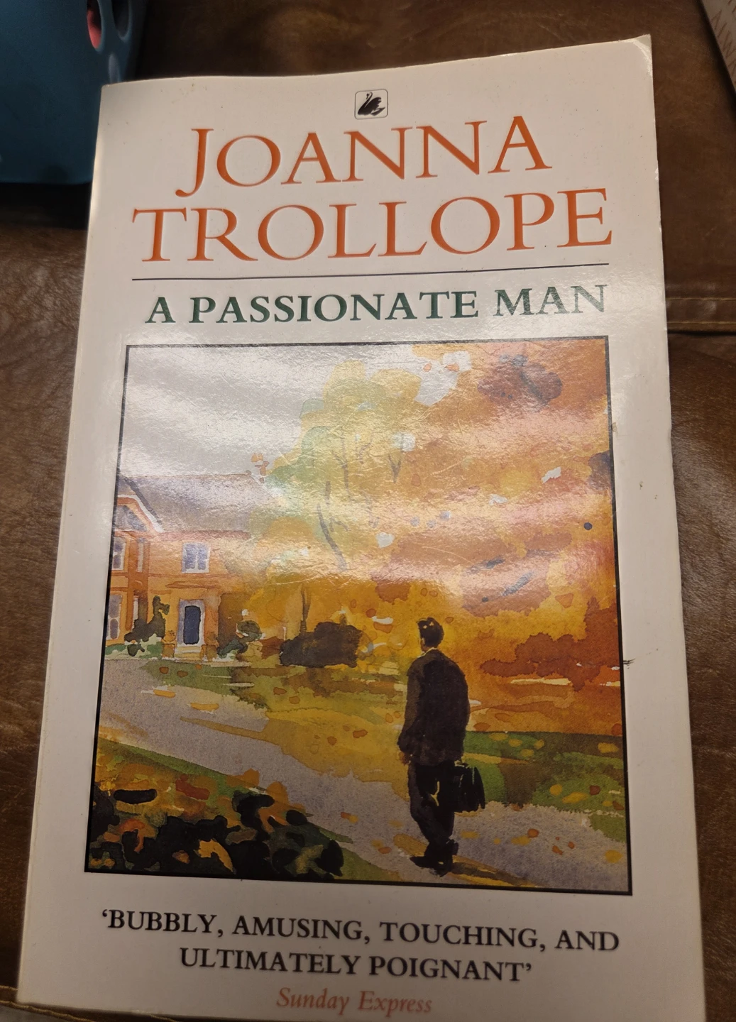 Joanna Trollope - A Passionate Man