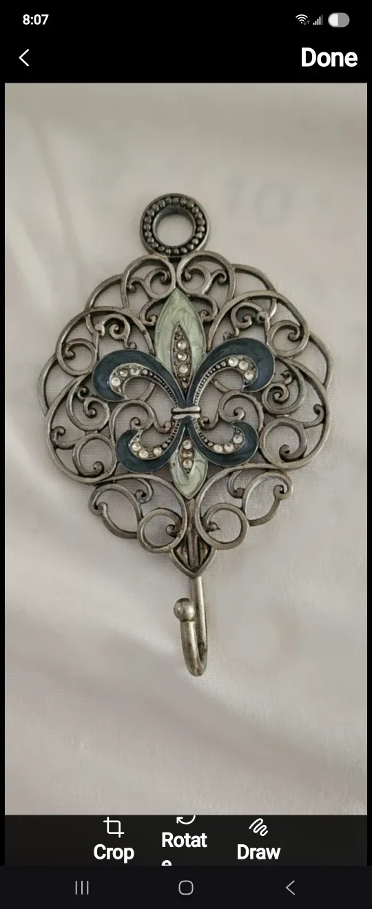 🩵💚Fleur-de-lis Decorative Wall Hook image indicator(4)