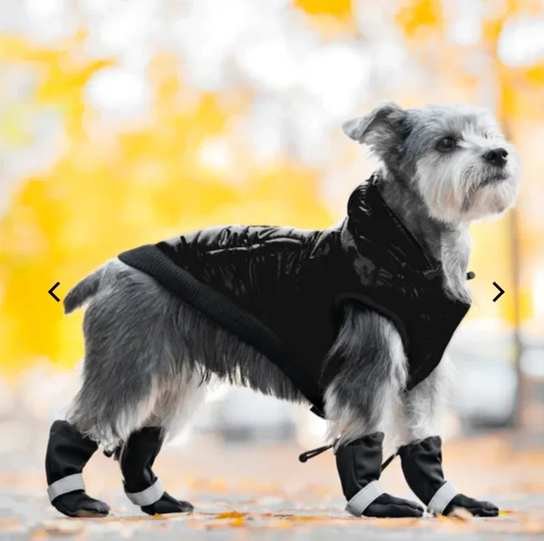 Canada Pooch Dog Boots - Size 2