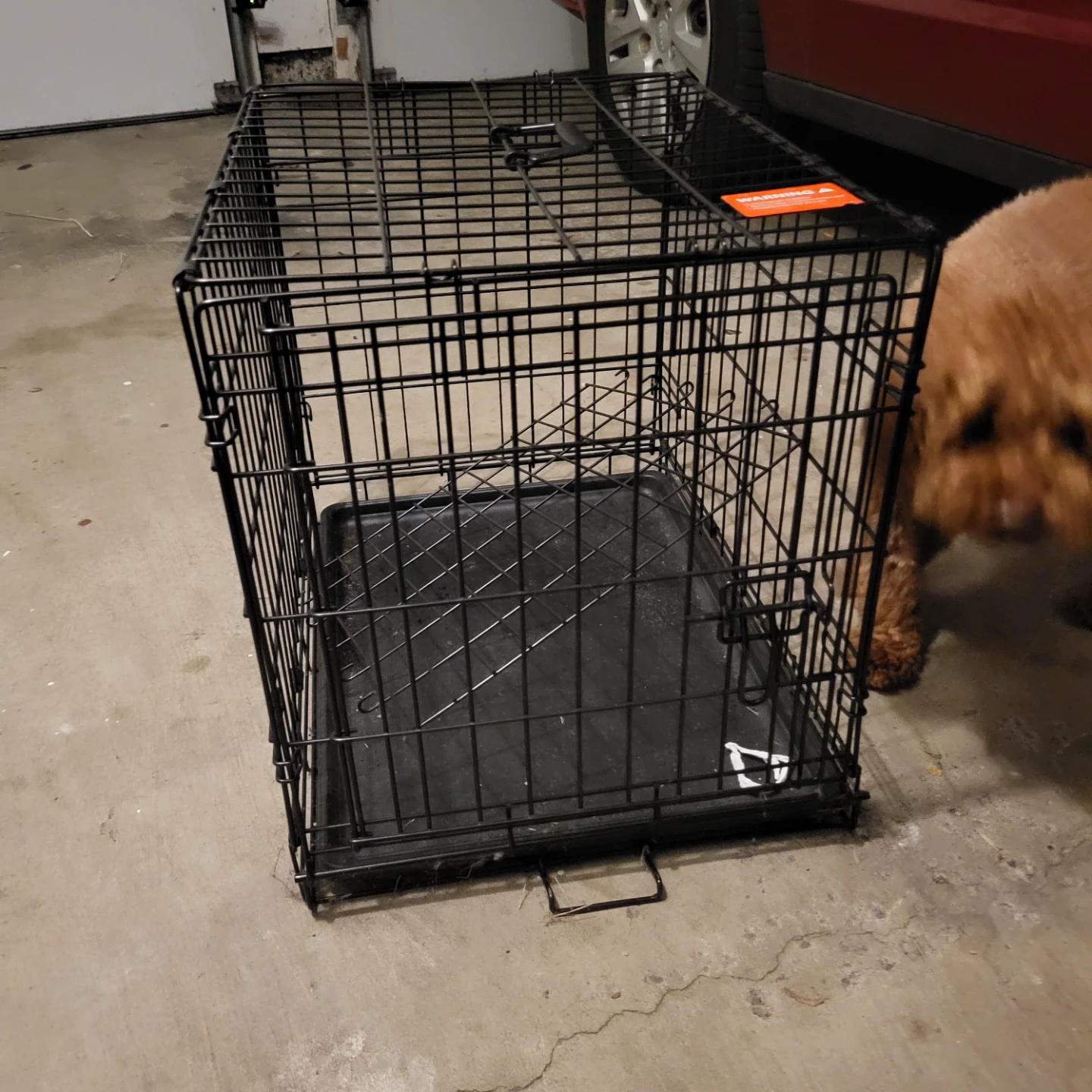 Dog Crate - Black Wire