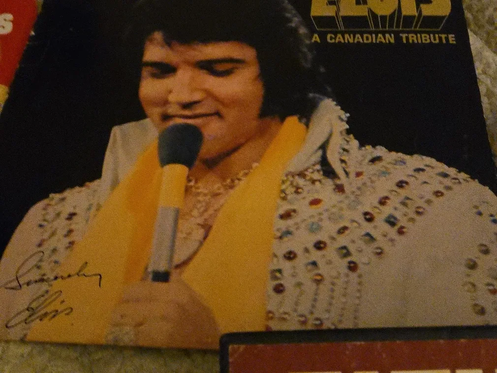 Elvis Golden Records Vinyl image indicator(2)