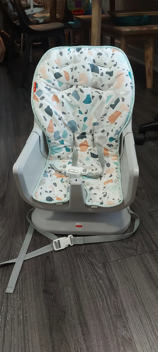 Fisher-Price SpaceSaver High Chair (height/recline adjust) - photo 2