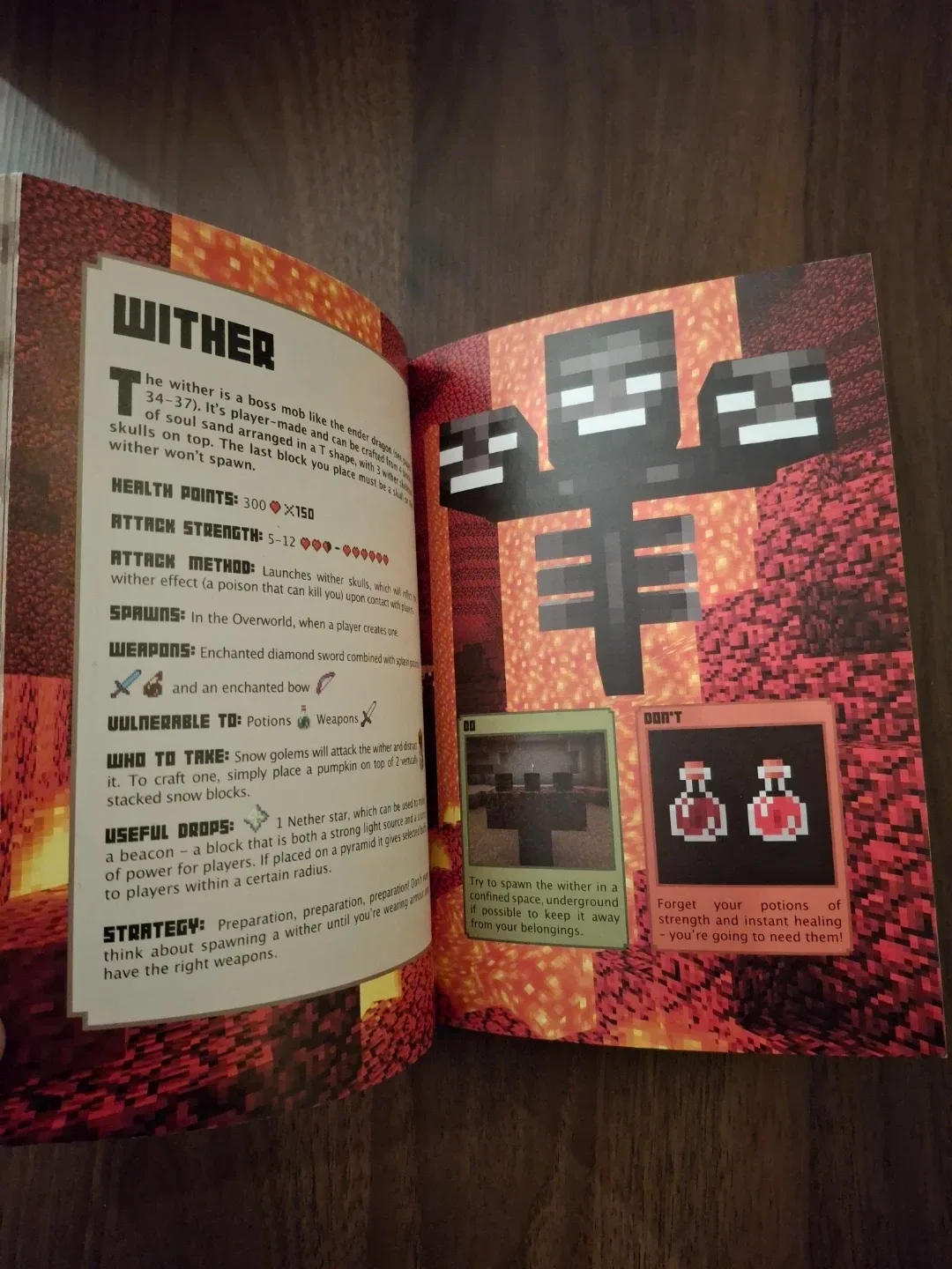 Minecraft Combat Handbook image indicator(3)