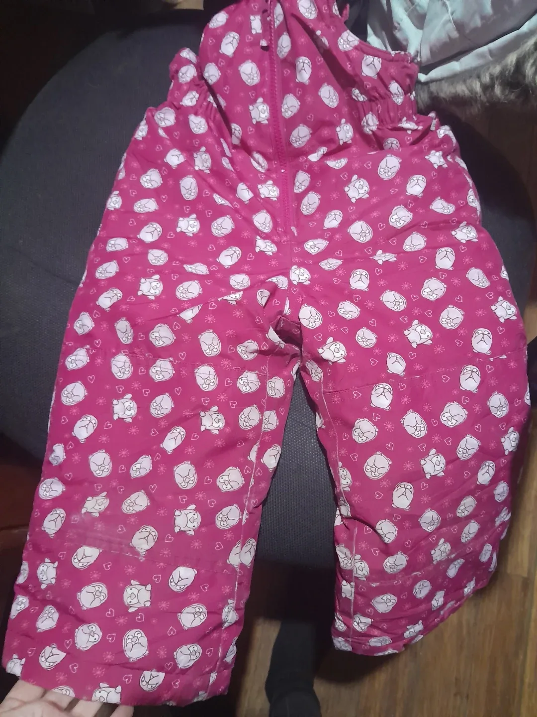Gusti 3T Snow Pants - Pink with Cute Design thumbnail