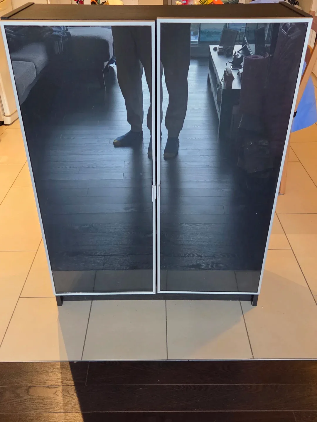 Black Cabinet with Glass Doors