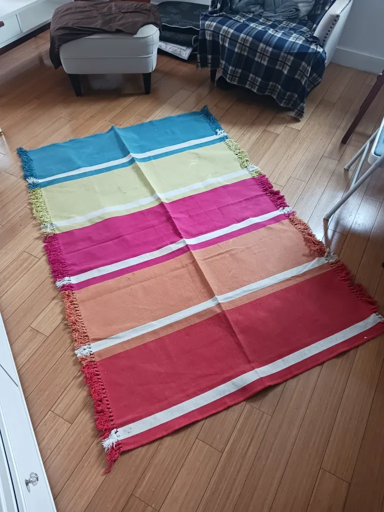 Colorful Striped Area Rug  – Needs a Wash image indicator(3)