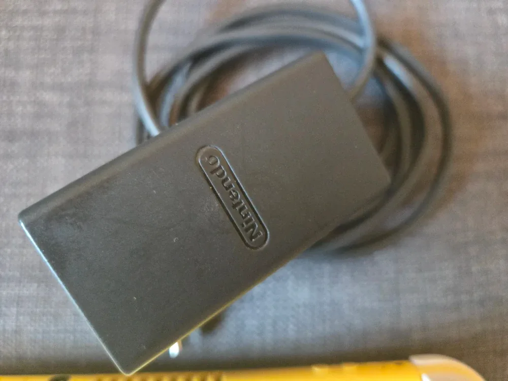 Nintendo Switch Lite image indicator(8)