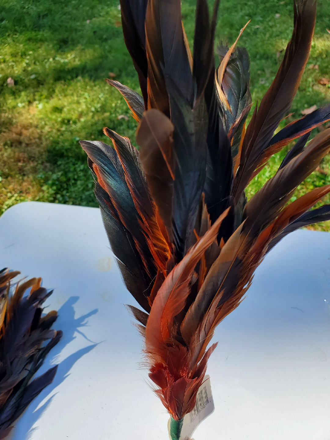 Home Inspirations Decorative Feather Pick - photo 3