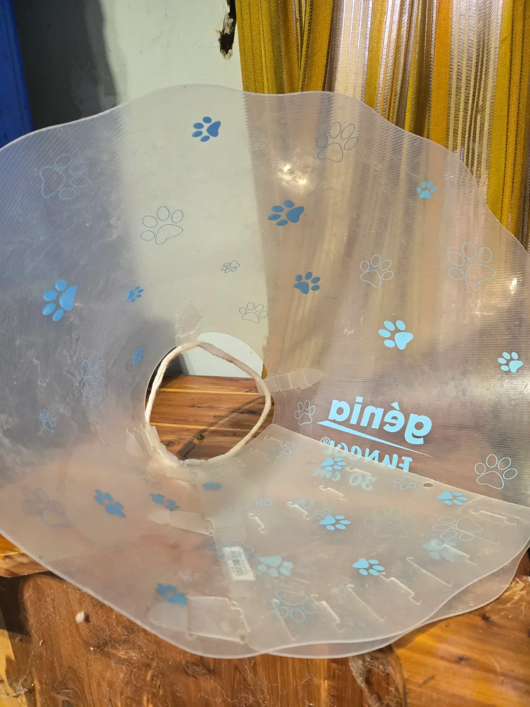 Dog E-Collar - Paw Print Design image indicator(2)