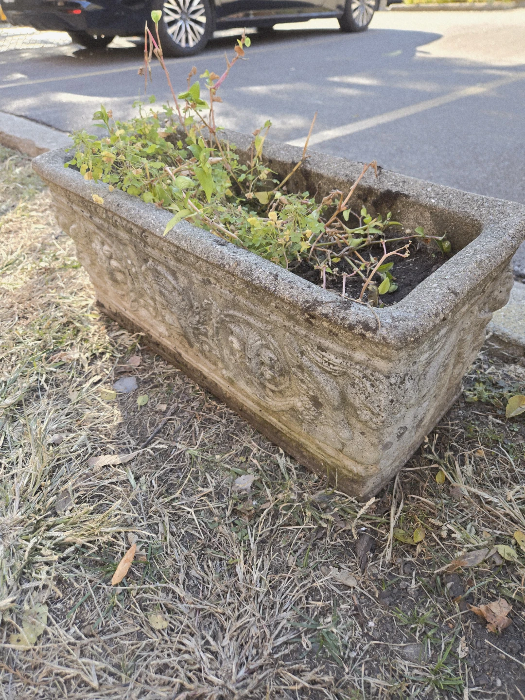 Concrete Rectangular Planter