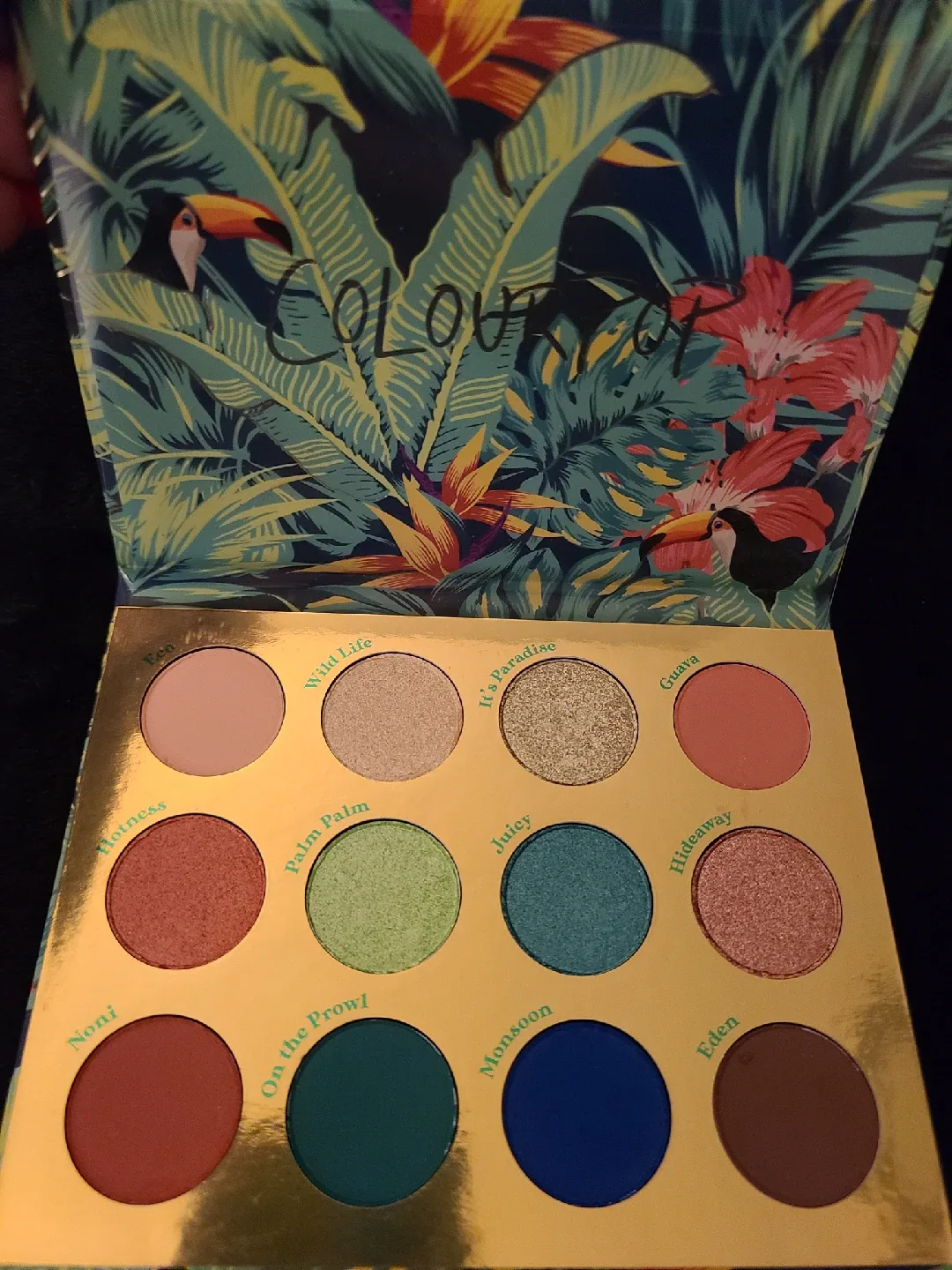 ColourPop Lush Life Eyeshadow Palette image indicator(2)