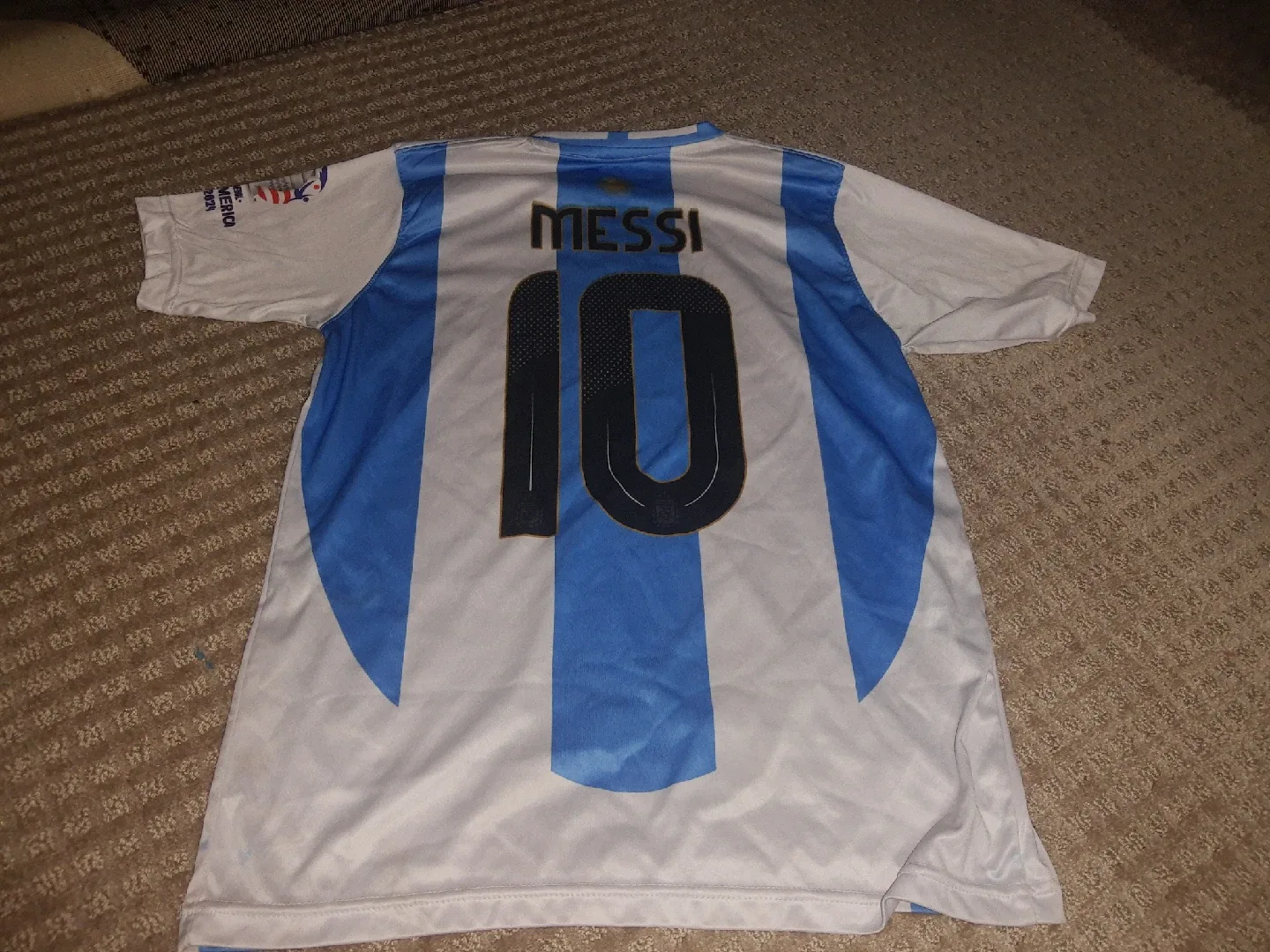Argentina Messi #10 Copa America 2024 Jersey image indicator(2)