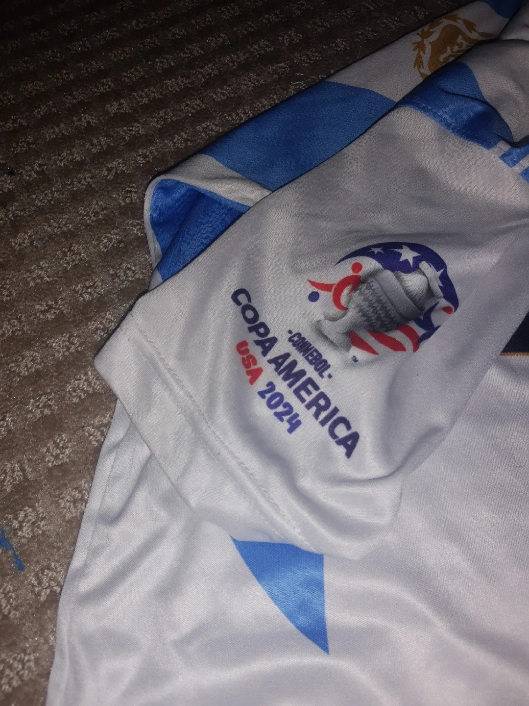 Argentina Messi #10 Copa America 2024 Jersey image indicator(3)