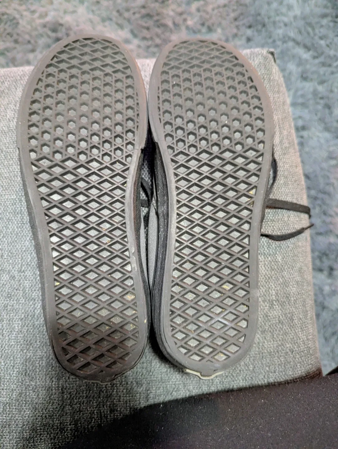 Vans Authentic - Sedona Sage w/Black Sole Low Top Skate Shoe image indicator(4)