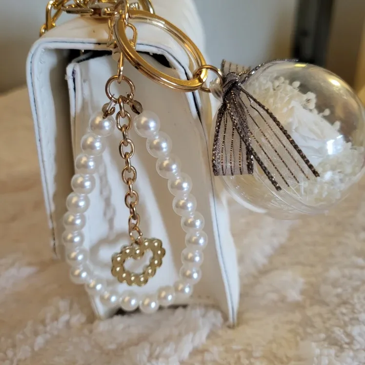 Ladies purse image indicator(7)