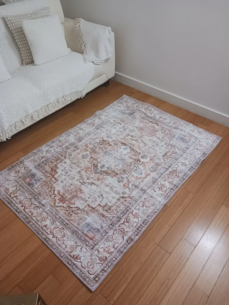 Vintage-Style Area Rug 4x6 — Neutral terracotta image indicator(10)